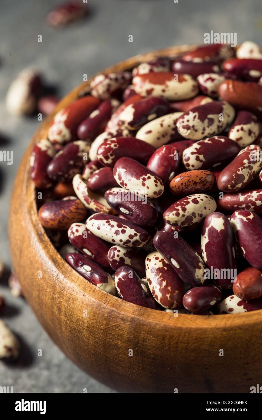 Haricots rouges de bovins biologiques crus dans un bol Banque D'Images