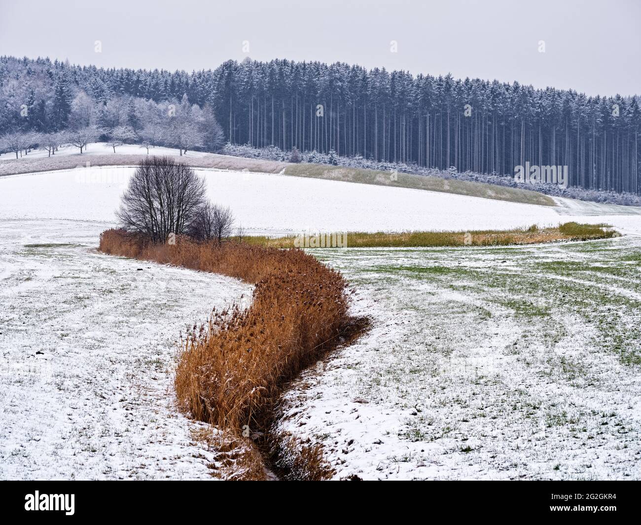 Jour d'hiver dans le Schmuttertal, Banque D'Images