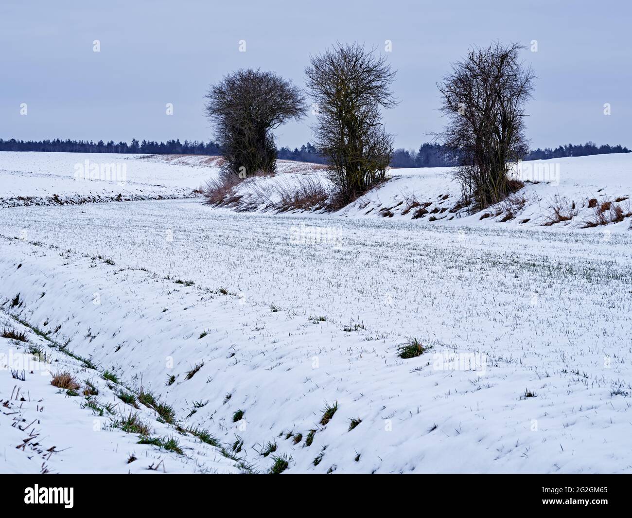 Jour d'hiver dans le Schmuttertal, Banque D'Images