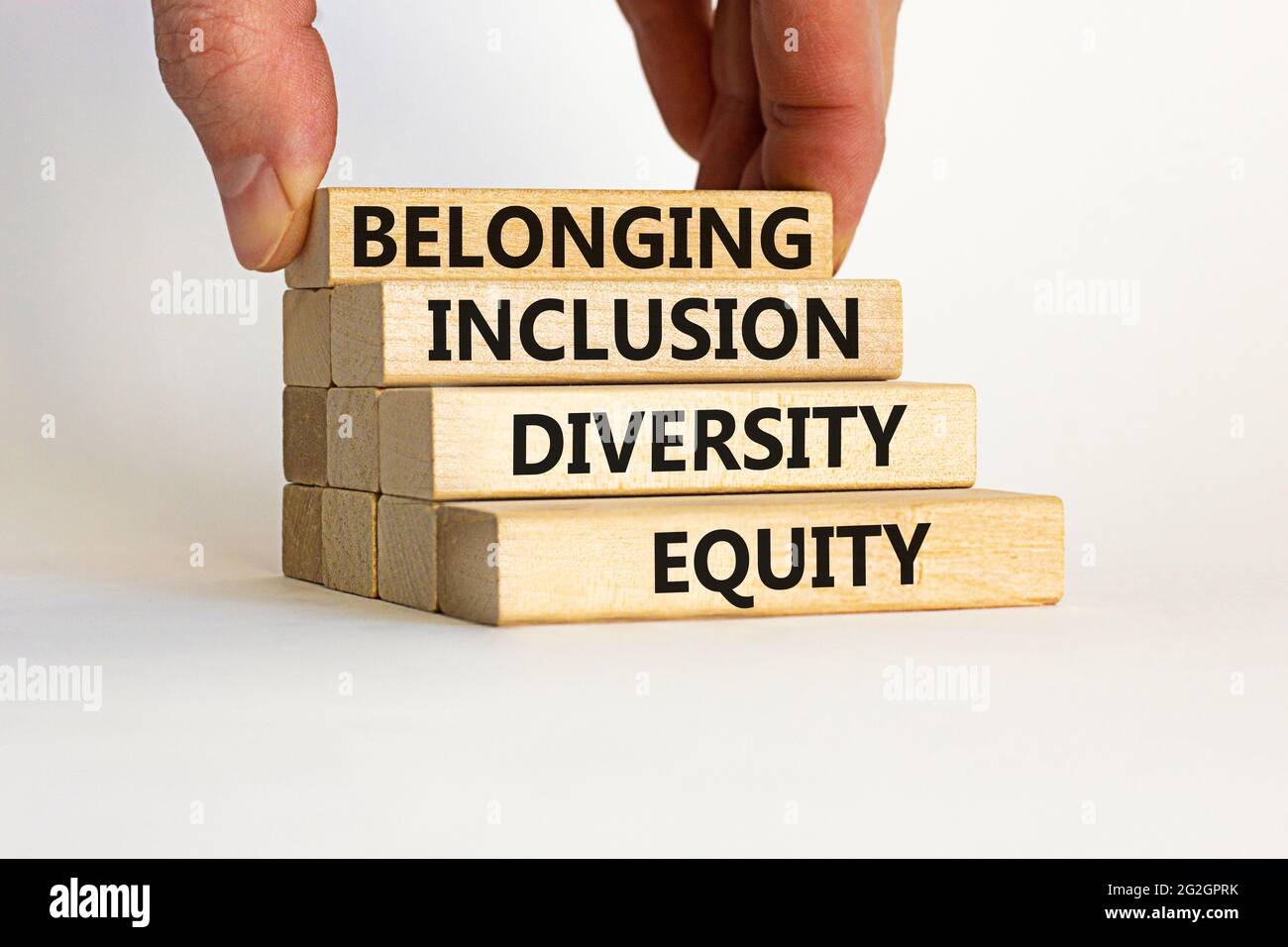 Symbole d'équité, de diversité, d'inclusion et d'appartenance. Blocs en ...