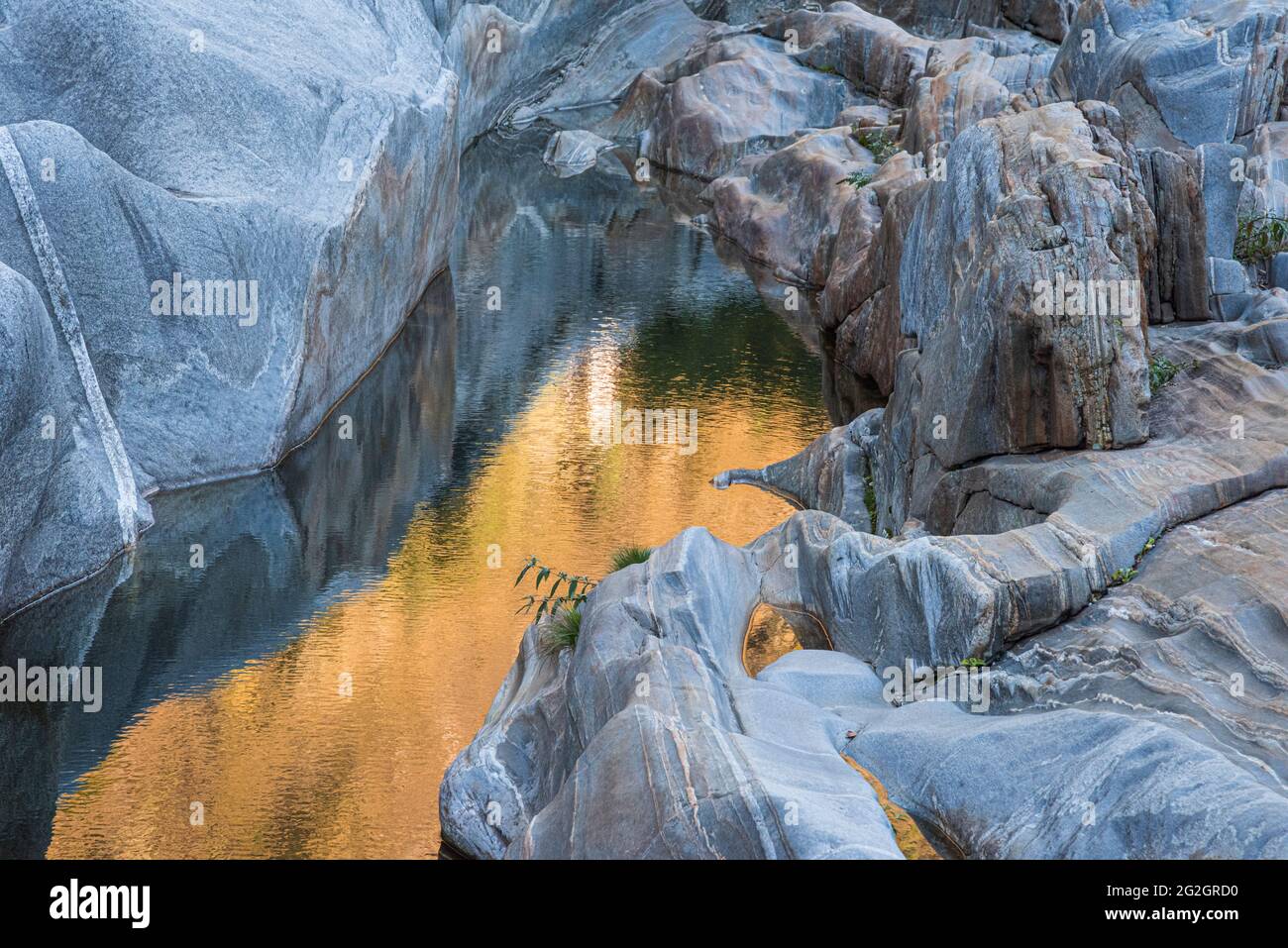 Impressions de Lastezzo dans la vallée de la Verzasca, district de Locarno, canton du Tessin en Suisse: Destination d'excursion populaire pour la randonnée, la plongée en rivière et la natation. Rochers de granit dans la rivière Verzasca. Banque D'Images