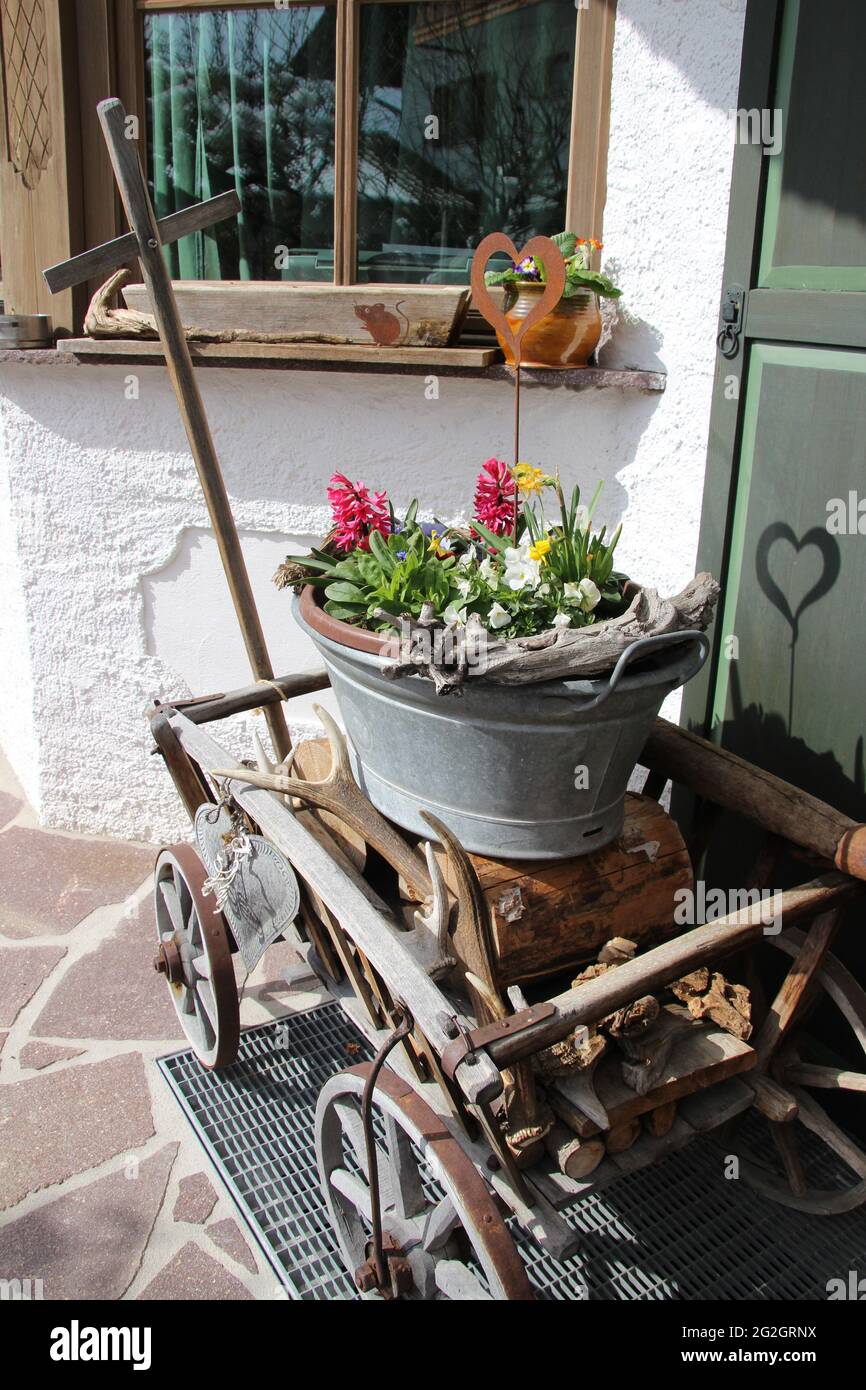 Bain de zinc avec décorations de fleur de printemps dans chariot, maison, volet, rural, Allemagne, Bavière, haute-Bavière, Werdenfelser Land, Mittenwald, Banque D'Images