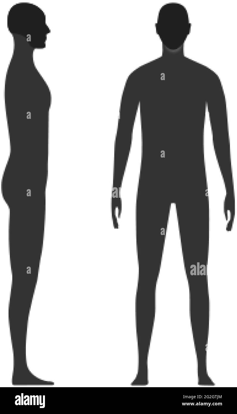 Vue latérale et avant d'un homme avec un crâne et une zone de menton en surbrillance Illustration de Vecteur