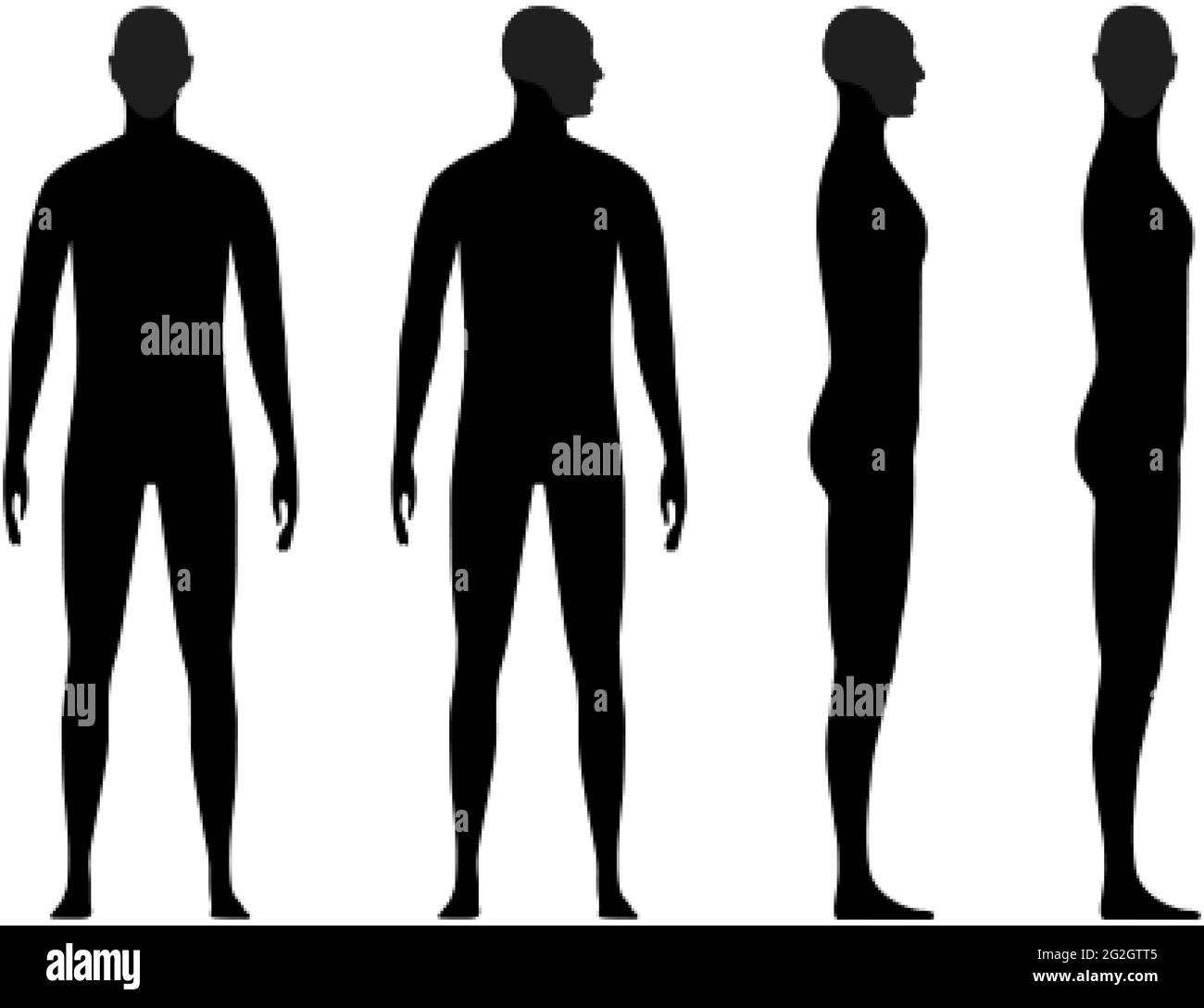 Silhouette humaine d'un homme avec un crâne et une zone de menton en surbrillance Illustration de Vecteur