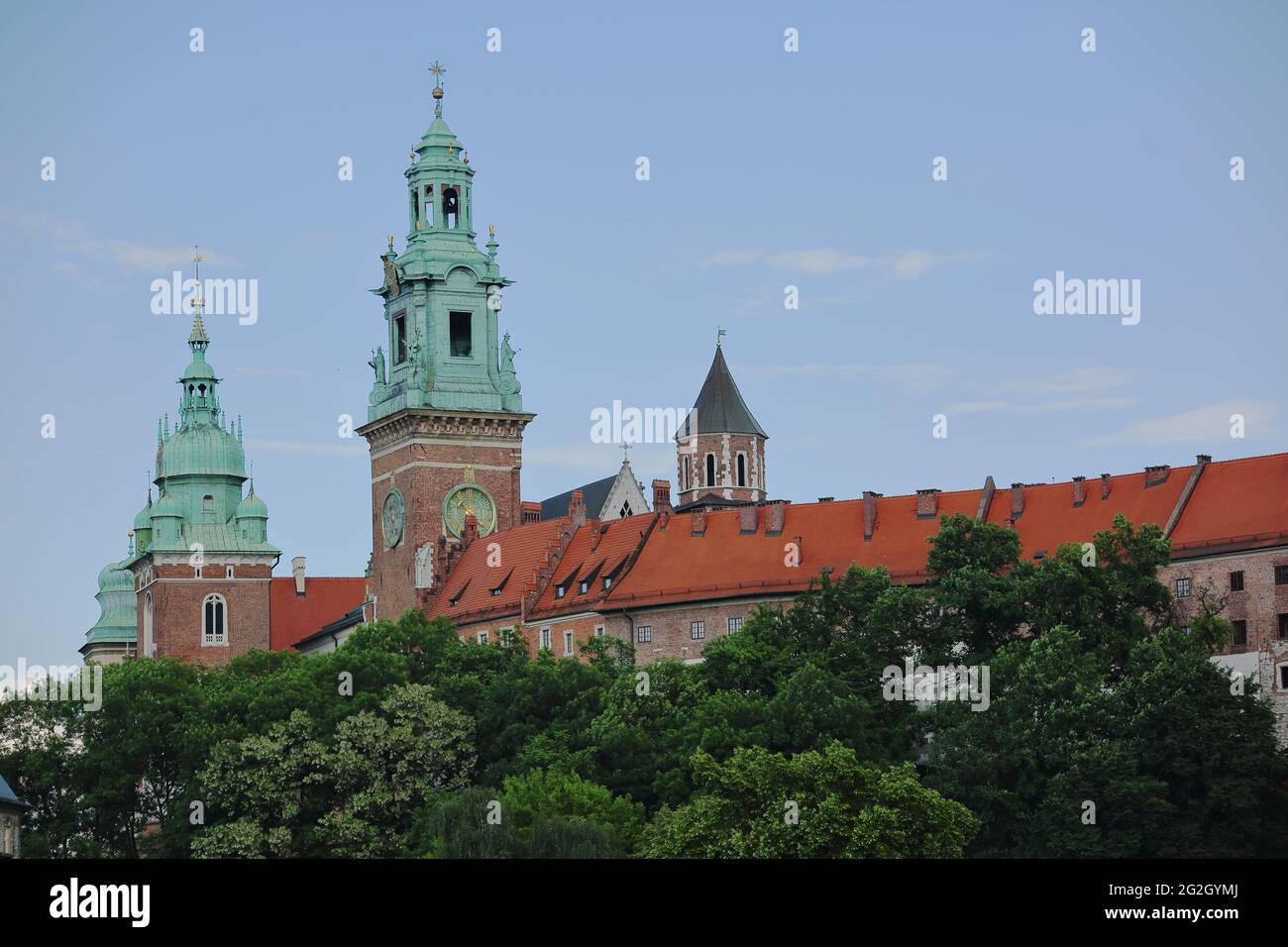 Tours de cathédrale sur le château de Wawel, arbres, horizon, Pologne, symbole de bâtiment historique de la ville et de l'histoire polonaise Banque D'Images