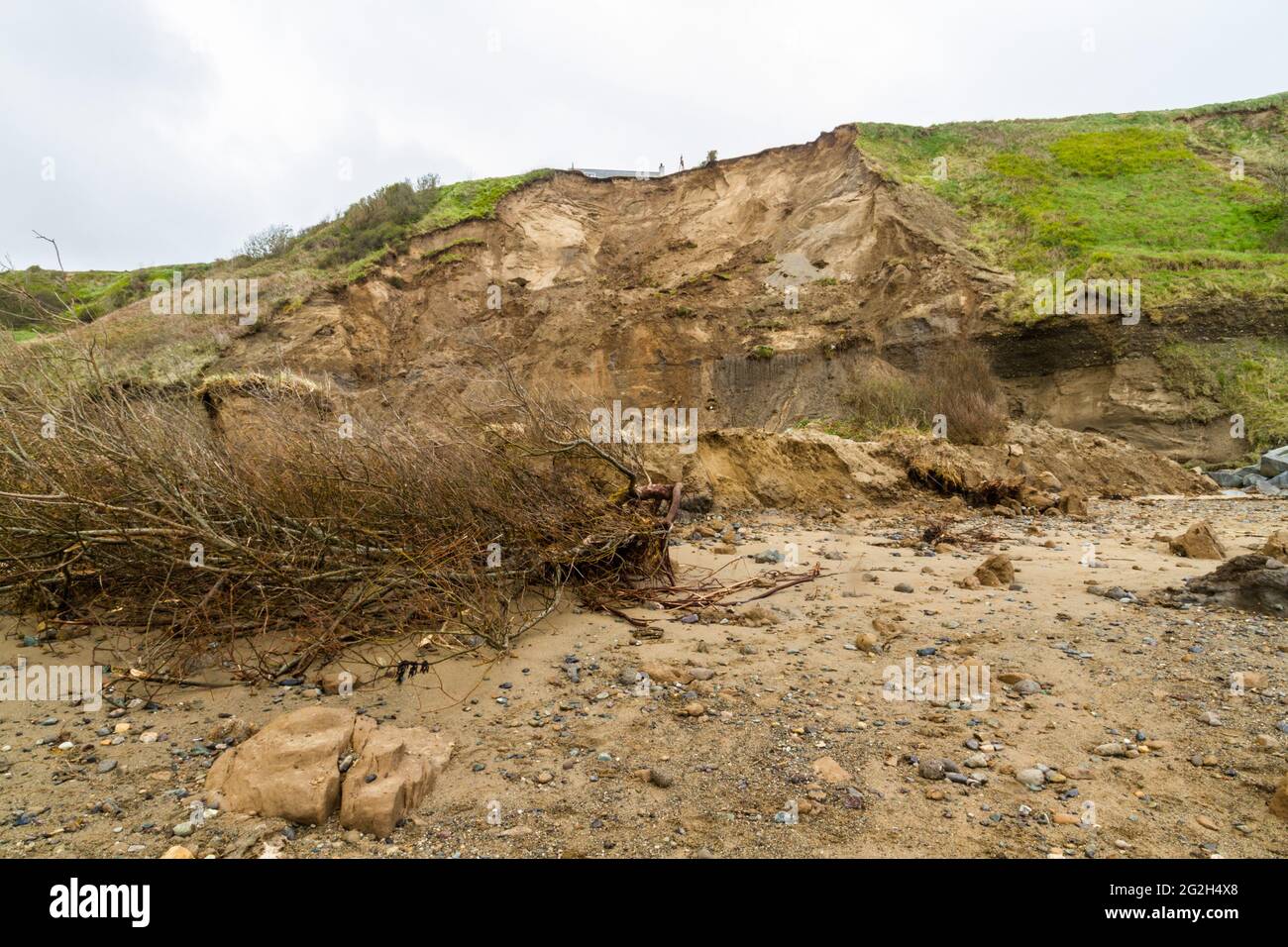 Vue depuis la plage des falaises au-dessus du glissement de terrain à Nefyn, Llyn Peninsula, pays de Galles, Royaume-Uni. Cela s'est produit en avril 2021, cette image prise en mai 2021, atterrit Banque D'Images