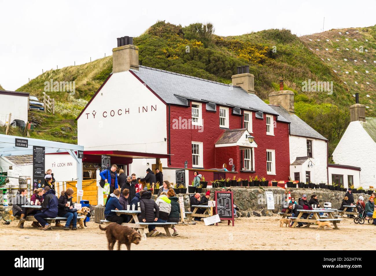 PORTHDINLLAEN, PAYS DE GALLES – MAI 9 2021 : personnes durant la pandémie Covid-19 en dehors de l'auberge Tŷ Coch à Porthdinllaen, Gwynedd, pays de Galles, paysage. Banque D'Images