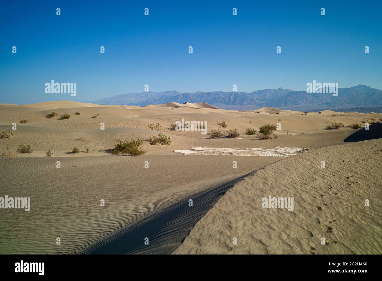 En journée aux dunes de sable de Mesquite Flat dans le parc national de la Vallée de la mort, Californie, États-Unis Banque D'Images