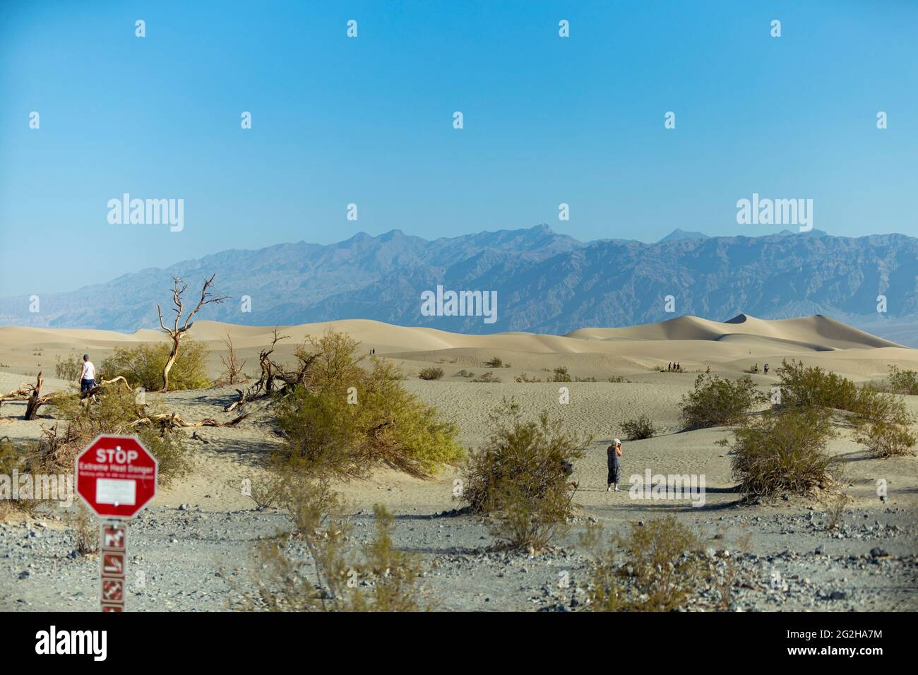 En journée aux dunes de sable de Mesquite Flat dans le parc national de la Vallée de la mort, Californie, États-Unis Banque D'Images