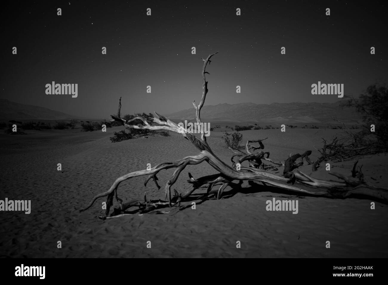 Photographie nocturne dans les dunes de sable de Mesquite Flat dans le parc national de la Vallée de la mort, Californie, États-Unis Banque D'Images