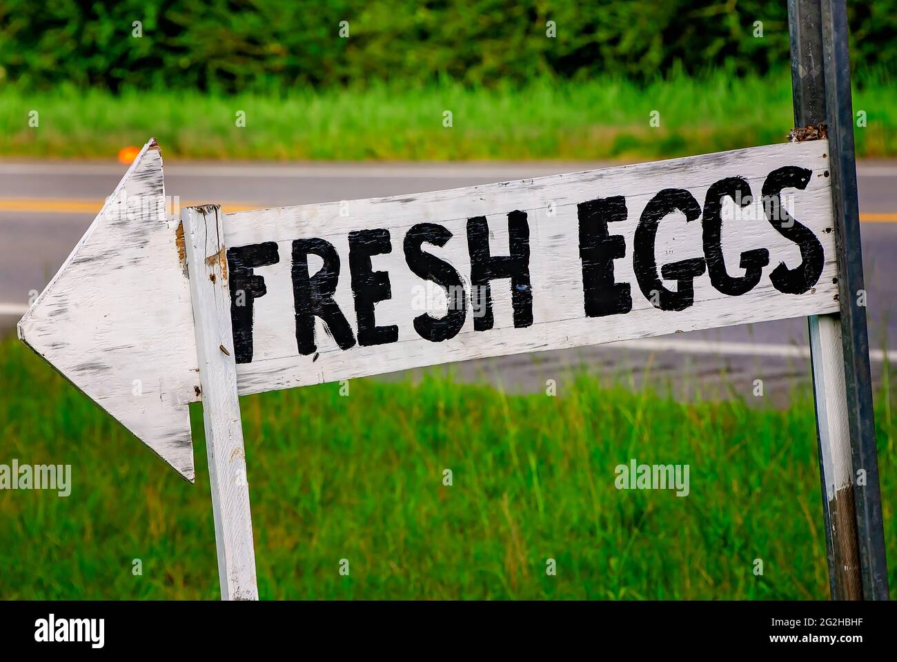 Un panneau annonce des œufs frais, le 10 juin 2021, à Grand Bay, en Alabama. La communauté de 3,672 personnes est principalement rurale. Banque D'Images