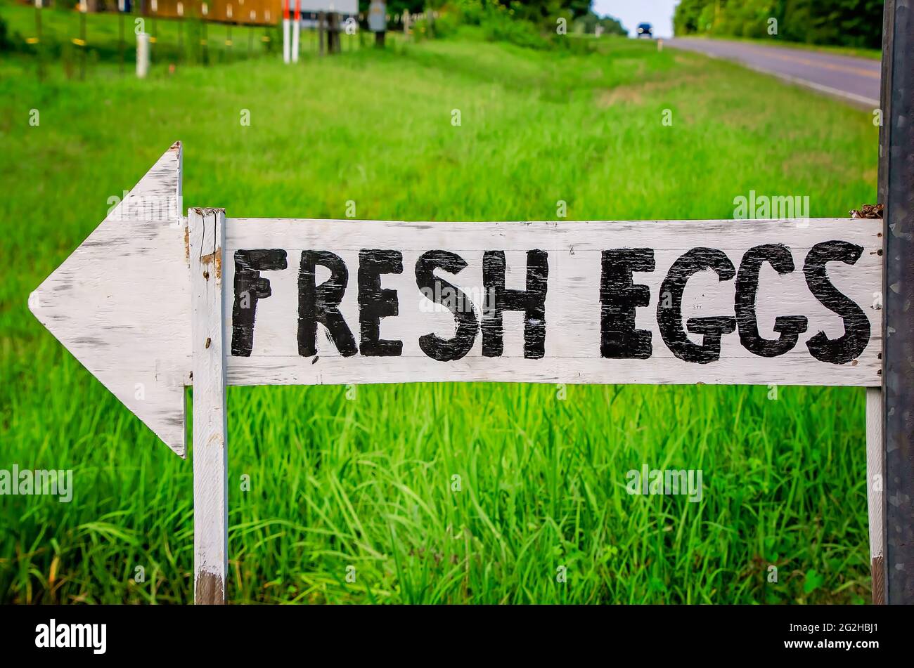 Un panneau annonce des œufs frais, le 10 juin 2021, à Grand Bay, en Alabama. La communauté de 3,672 personnes est principalement rurale. Banque D'Images