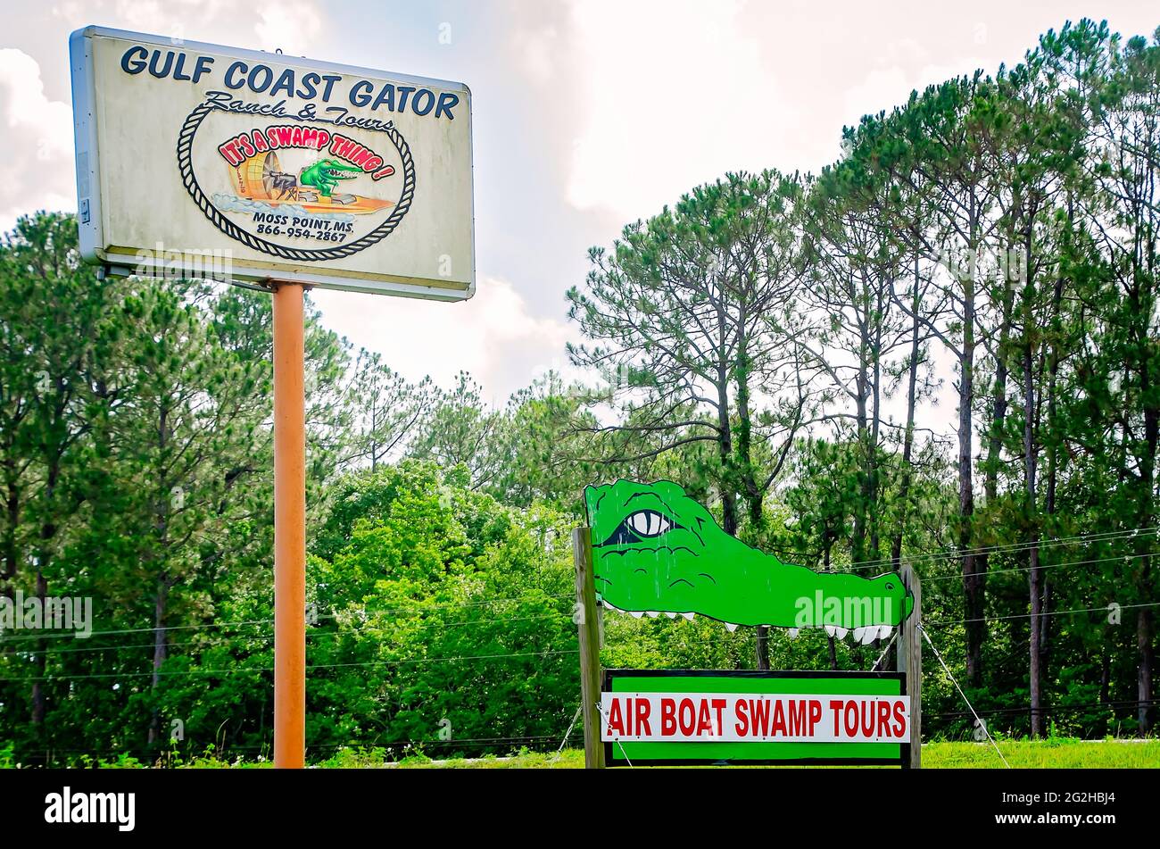 Le panneau Gulf Coast Gator Ranch and Tours présente un alligator conduisant un hydroglisseur, le 9 juin 2021, à Moss point, Mississippi. Banque D'Images