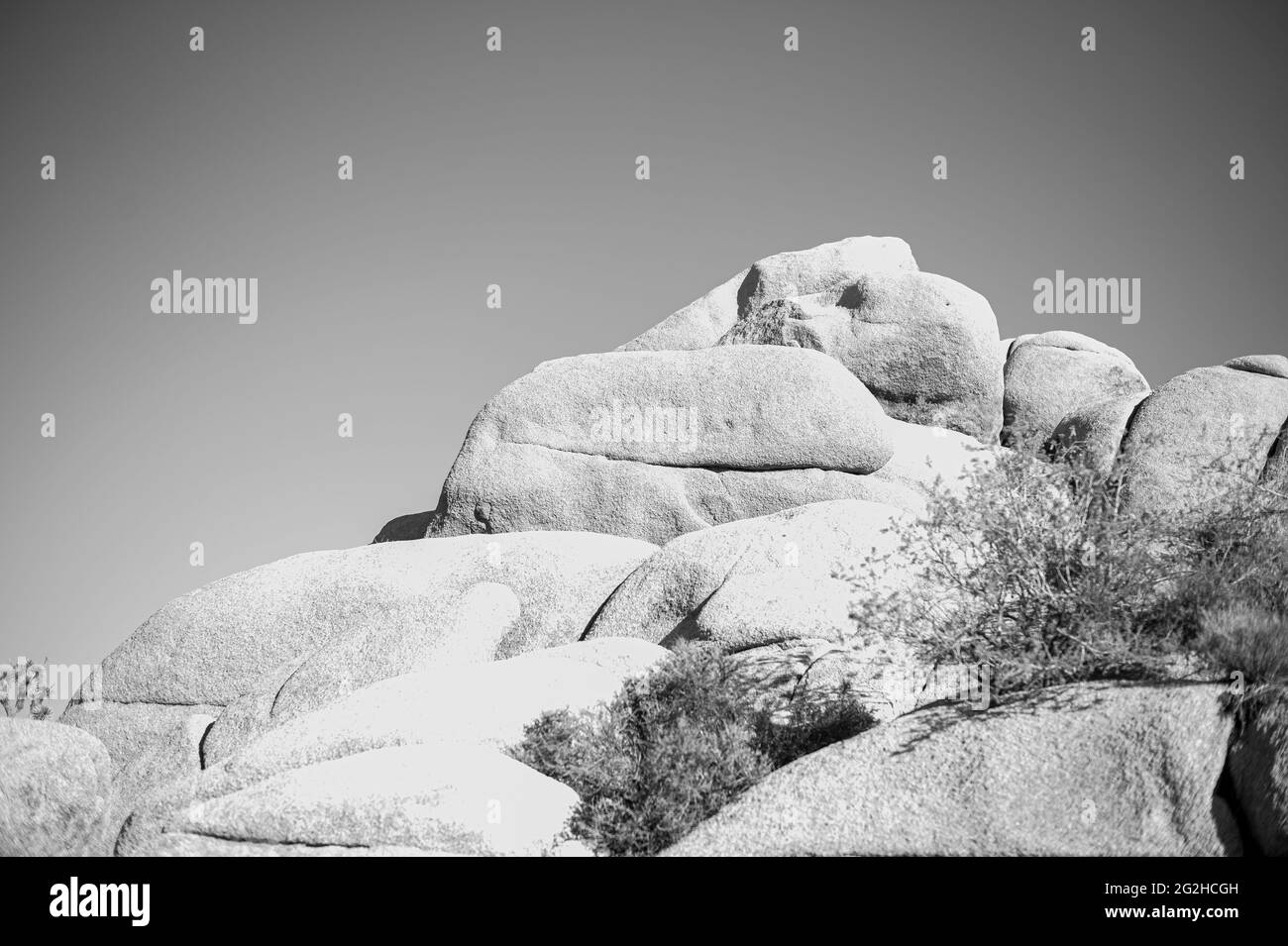 Joshua Tree National Park, comté de San Bernadino, Californie du Sud, États-Unis Banque D'Images