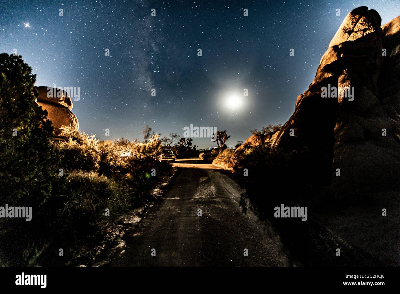 Le ciel nocturne parsemé de milliers d'étoiles au-dessus de Joshua Tree dans le parc national de Joshua Tree, comté de San Bernadino, Californie du Sud, États-Unis Banque D'Images