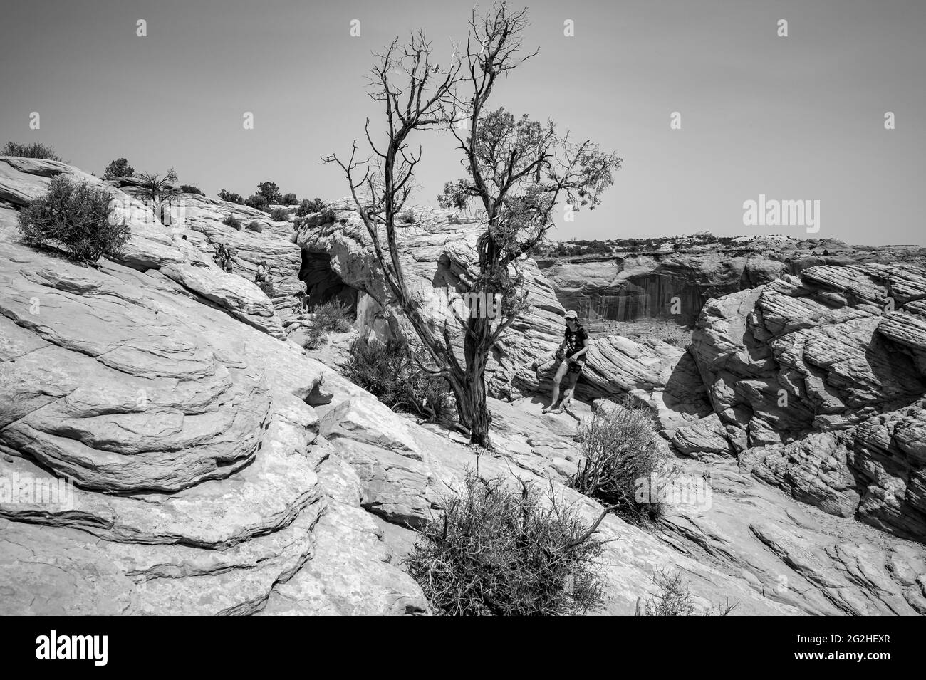 Mesa Arch. Arche en grès au bord de la falaise qui offre une vue imprenable sur le paysage du canyon en roche rouge. Parc national de Canyonlands, Utah, États-Unis Banque D'Images