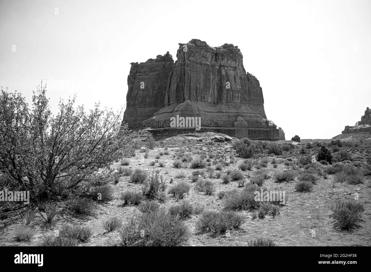 Arches National Park, Utah, États-Unis - près de trois Gossips Banque D'Images