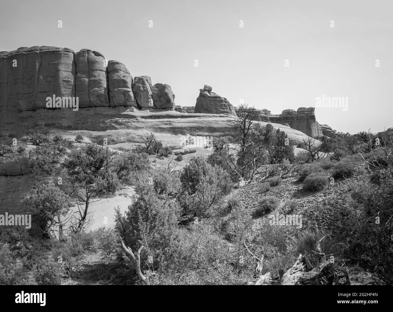 L'aventure attend des touristes, des randonneurs et des amateurs de sensations fortes dans Devils Garden, l'un des meilleurs endroits du parc. Vous y trouverez des arches, des flèches et une grande concentration de parois rocheuses étroites appelées « nageoires ». Les palmes finissent par s'éroder et par céder la place à la formation d'arches comme Landscape Arch, le joyau de la couronne de Devils Garden. Banque D'Images