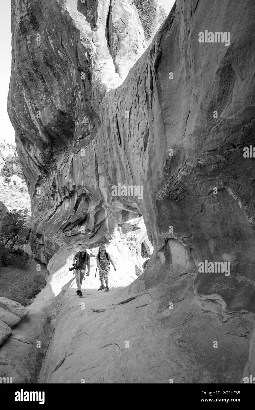 L'aventure attend des touristes, des randonneurs et des amateurs de sensations fortes dans Devils Garden, l'un des meilleurs endroits du parc. Vous y trouverez des arches, des flèches et une grande concentration de parois rocheuses étroites appelées « nageoires ». Les palmes finissent par s'éroder et par céder la place à la formation d'arches comme Landscape Arch, le joyau de la couronne de Devils Garden. Banque D'Images