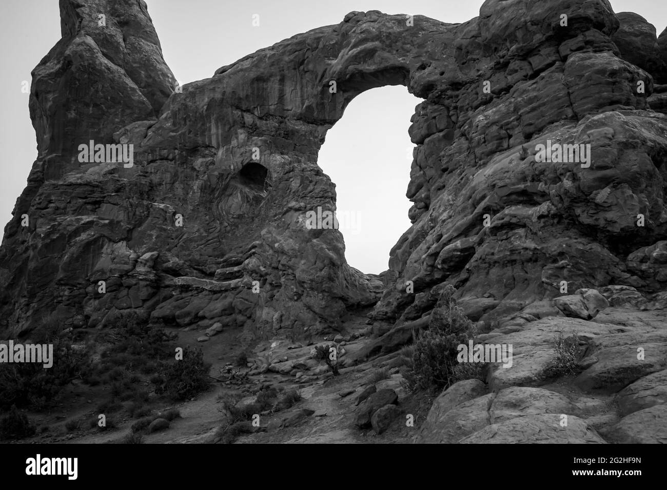 Arche de tourelle - une ailette en grès avec de grandes et petites ouvertures et un montant en pierre plus grand, semblable à une tourelle, sur le côté. Arches National Park, près de Moab dans l'Utah, États-Unis. Banque D'Images
