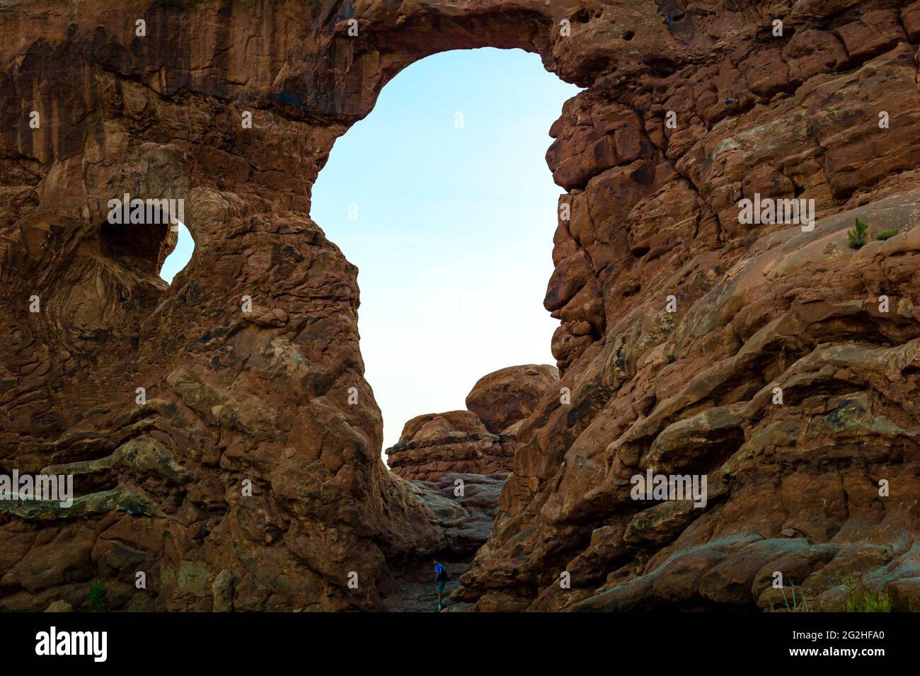 Arche de tourelle - une ailette en grès avec de grandes et petites ouvertures et un montant en pierre plus grand, semblable à une tourelle, sur le côté. Arches National Park, près de Moab dans l'Utah, États-Unis. Banque D'Images
