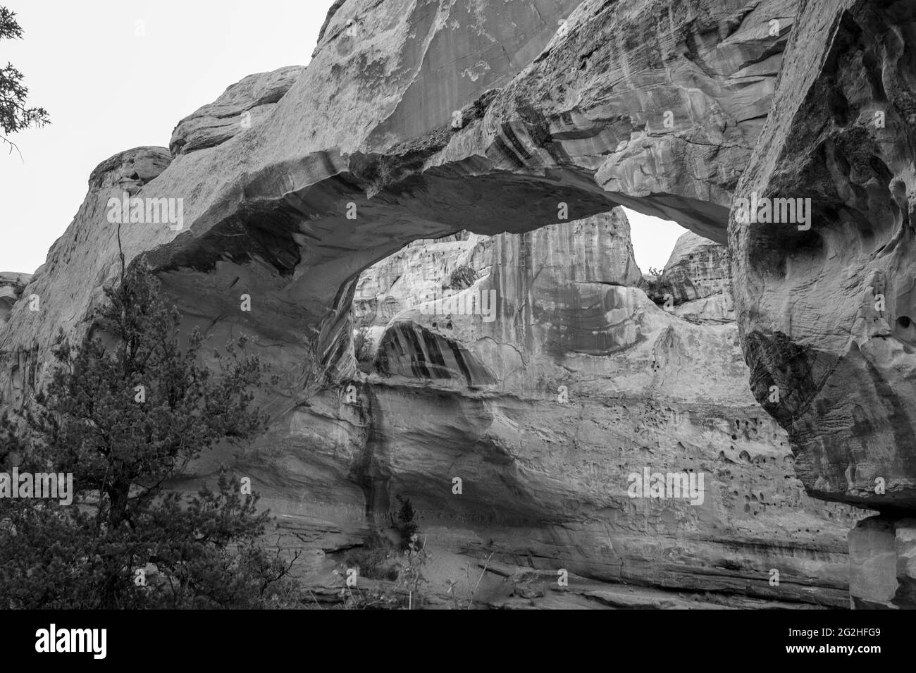 Un pont / arche de 133 pieds appelé Natural Bridge. Randonnée sur la piste de Hickman Bridge dirigez-vous vers le parc national de Capitol Reef près de Torrey, Utah, États-Unis. Banque D'Images