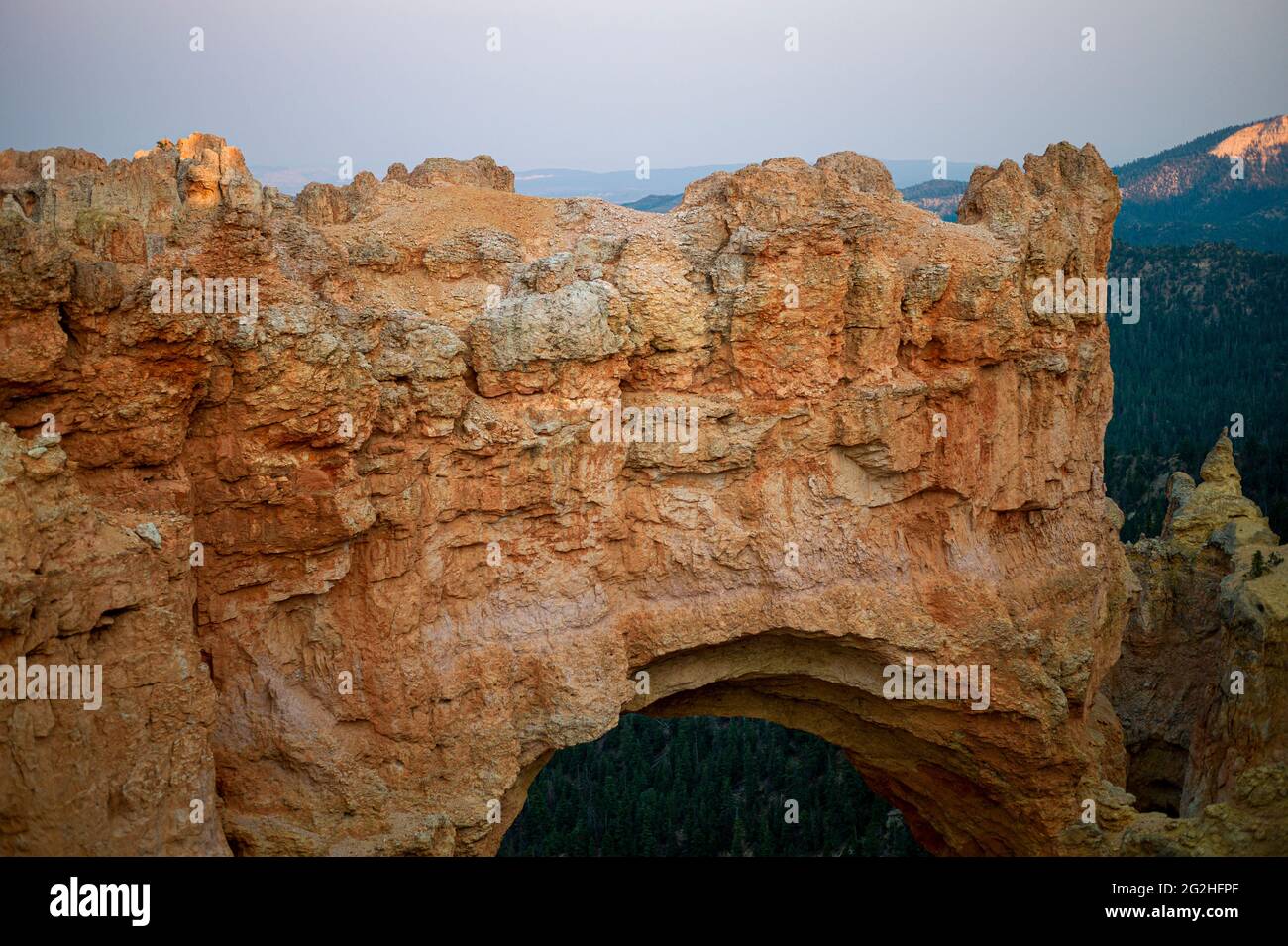 Natural Bridge, un énorme arc de roche rouge de 85 pieds sculpté dans la roche rouge sédimentaire par les forces géologiques pendant des millions d'années. Parc national de Bryce Canyon, Utah, États-Unis Banque D'Images