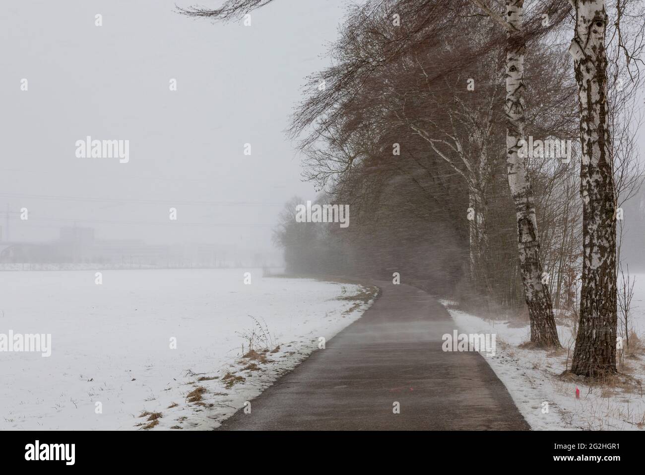 Tempête de neige, sentier piétonnier à Ingolstadt, Bavière, Allemagne, Europe Banque D'Images