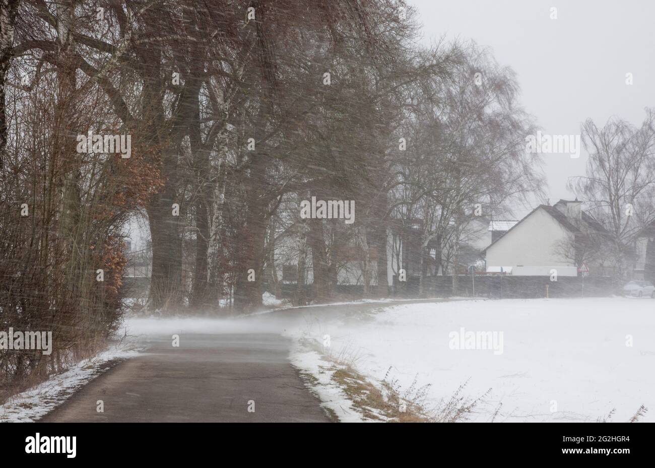 Tempête de neige, sentier piétonnier à Ingolstadt, Bavière, Allemagne, Europe Banque D'Images