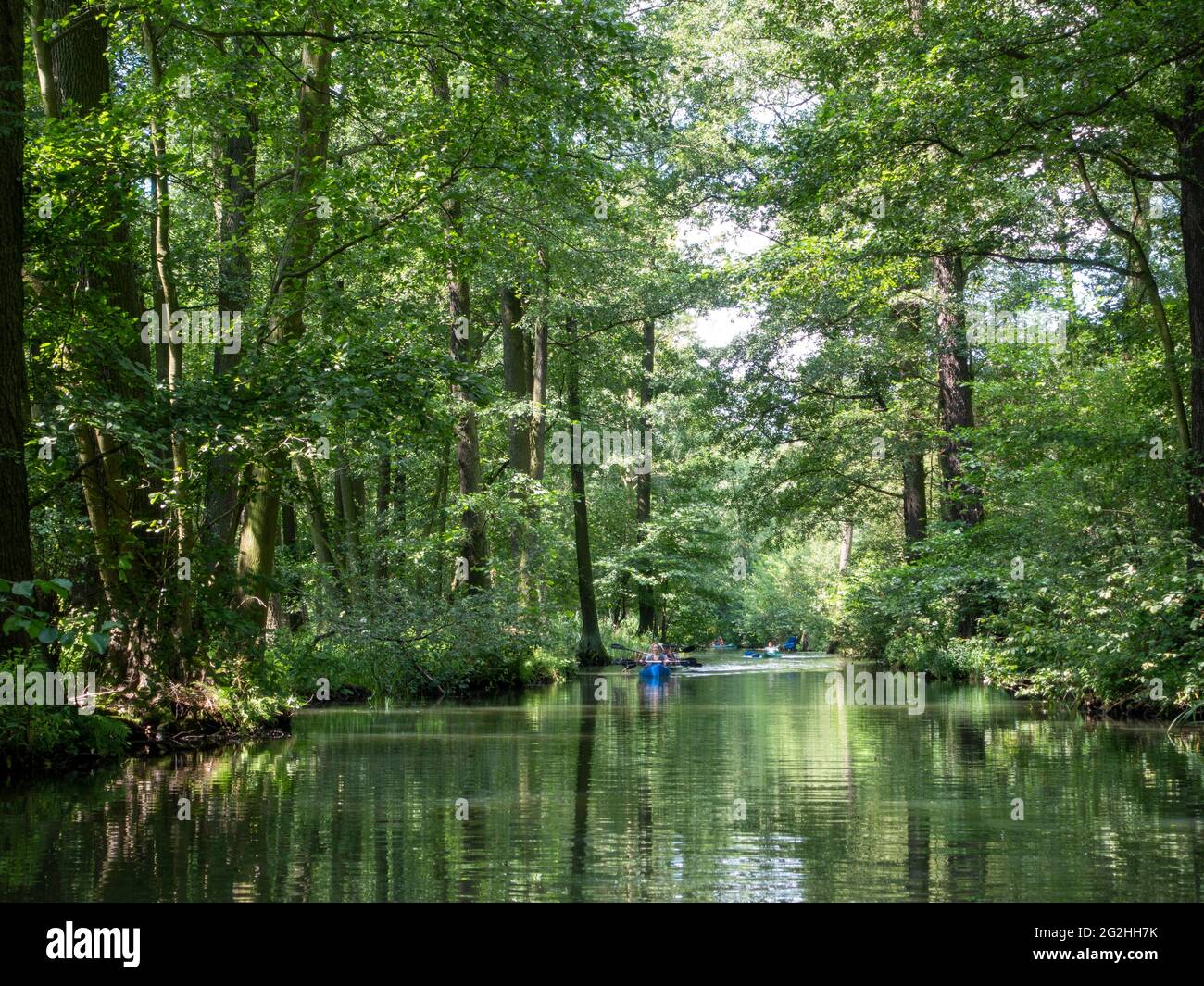 Pagayeurs sur un canal, Innerer Spreewald près de Lübbenau, Réserve de biosphère, Brandebourg, Allemagne Banque D'Images