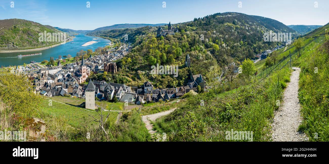 'Ancienne maison', Bacharach, château, sentier du château, maison de Sickingen, Auberge de jeunesse, église, tour du marché, Rhin moyen, coin, Vallée du Rhin moyen supérieur, tour de poste, Rhin, expédition, été, St. Peter, tours de ville, Stahleck, Steeg, vallée de Steeger, Patrimoine mondial, site du patrimoine mondial, Chapelle Werner Banque D'Images