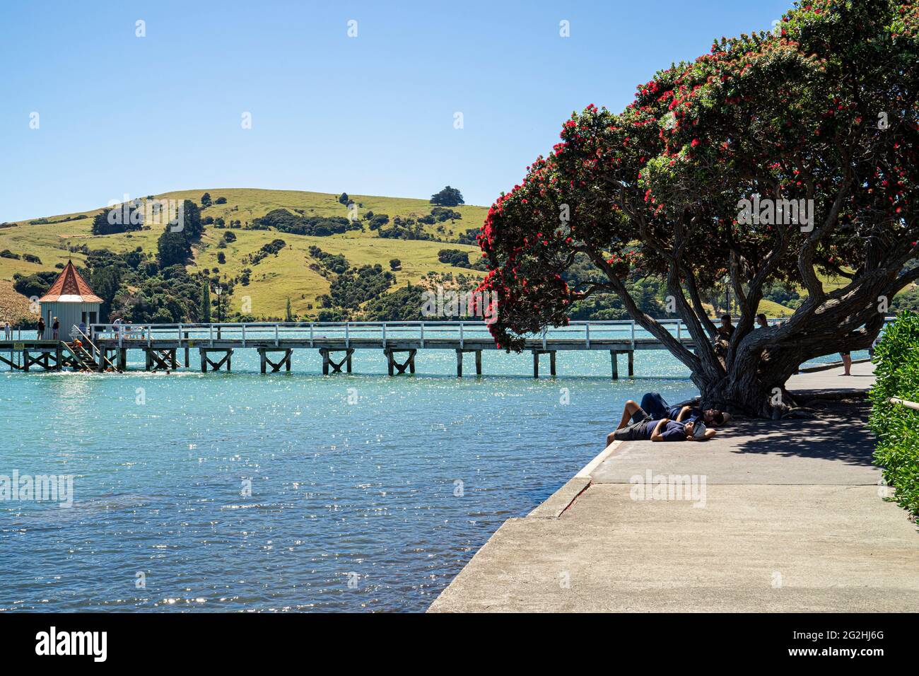 Baie d'Akaroa Bay, péninsule de Banks, côte est de l'île du Sud, région de Canterbury, Nouvelle-Zélande Banque D'Images