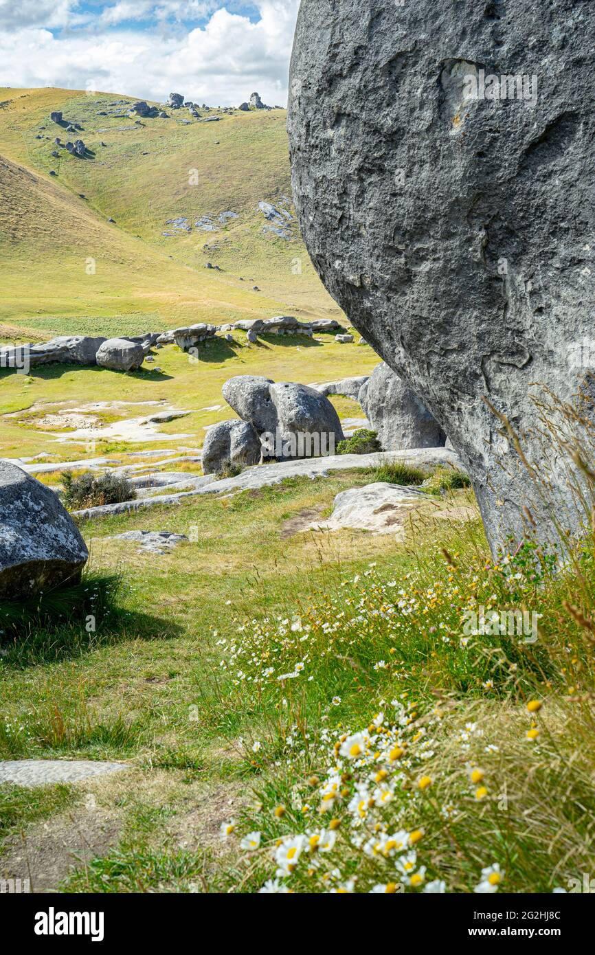 Castle Hill à une altitude de 900 m, à l'ouest de Christchurch à l'est de Greymouth sur la State Highway 73, South Island, Nouvelle-Zélande Banque D'Images