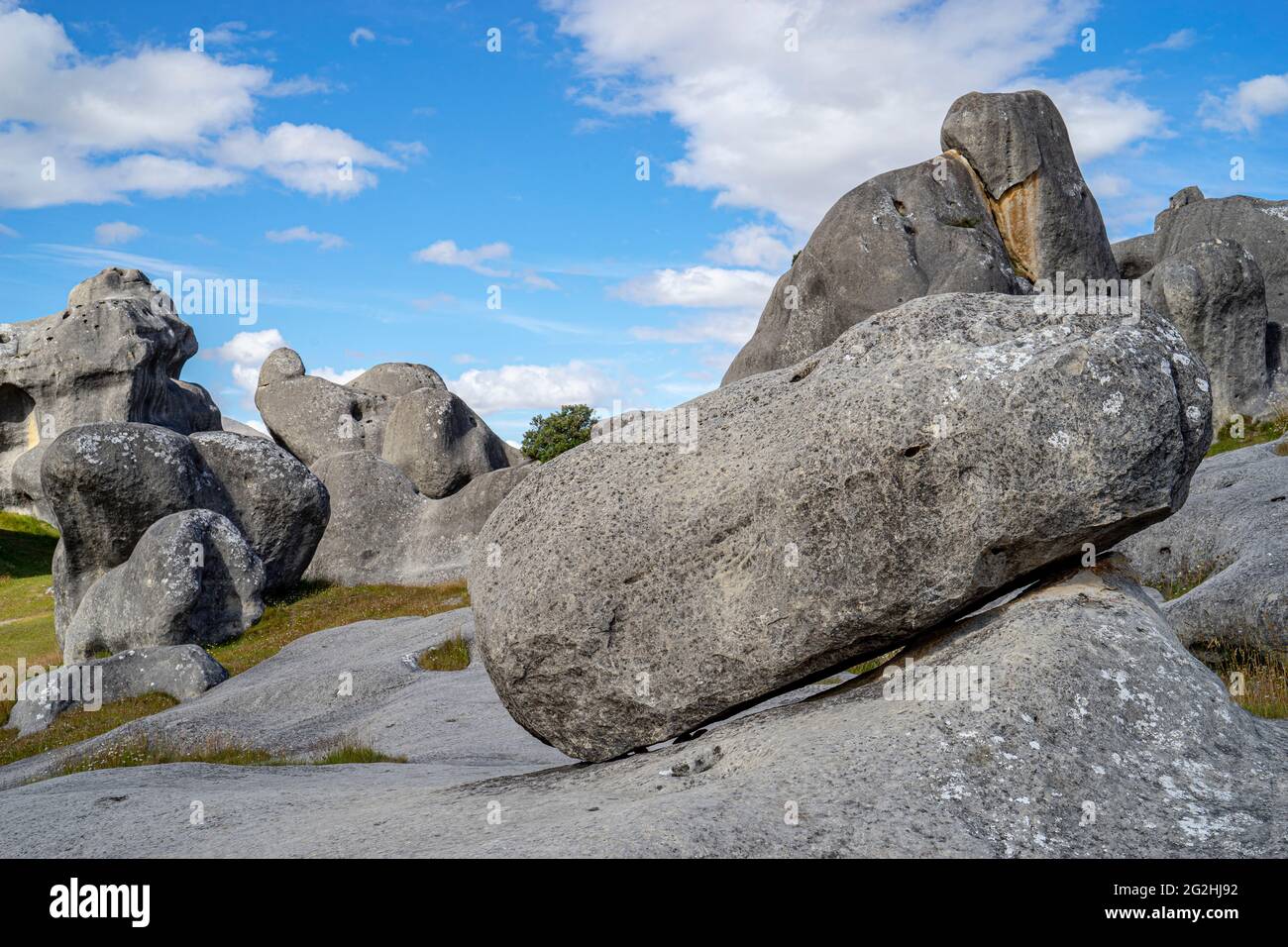 Castle Hill à une altitude de 900 m, à l'ouest de Christchurch à l'est de Greymouth sur la State Highway 73, South Island, Nouvelle-Zélande Banque D'Images