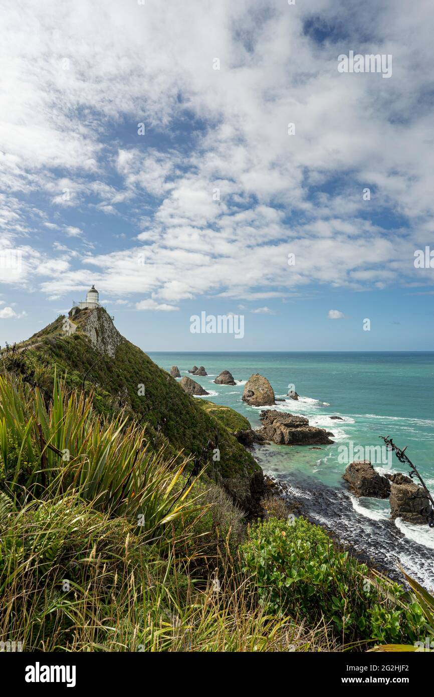 Phare de Nugget point / Tokata & Roaring Bay, Catlins, South Island, Nouvelle-Zélande Banque D'Images