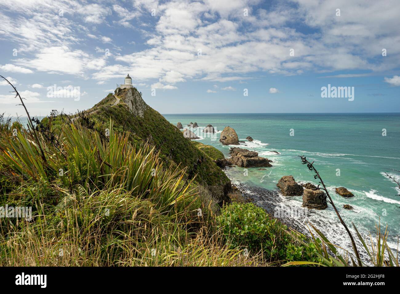 Phare de Nugget point / Tokata & Roaring Bay, Catlins, South Island, Nouvelle-Zélande Banque D'Images