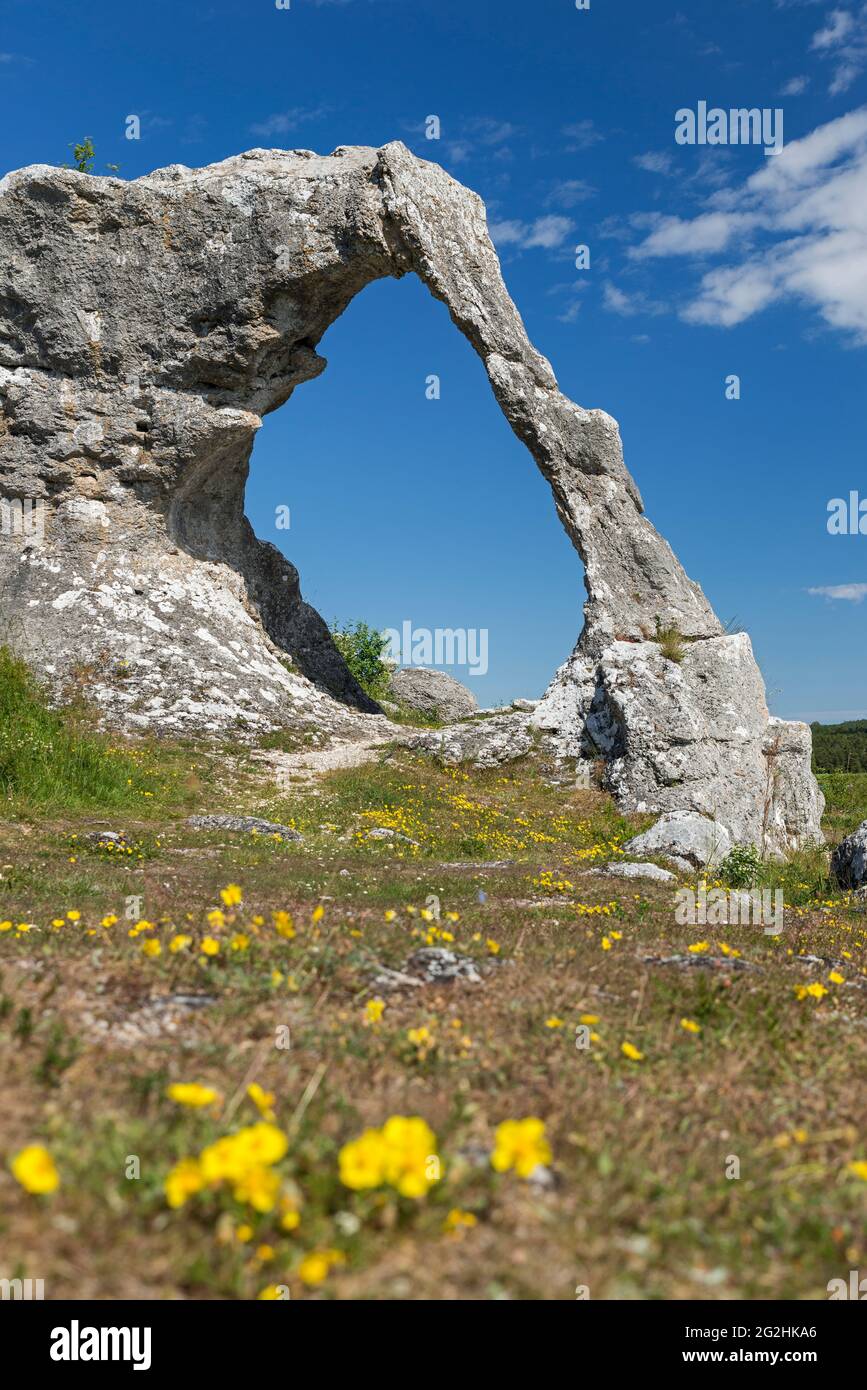 Raukbogen dans la réserve naturelle de Lergrav, dans le nord-est de Gotland, Suède, île de Gotland Banque D'Images