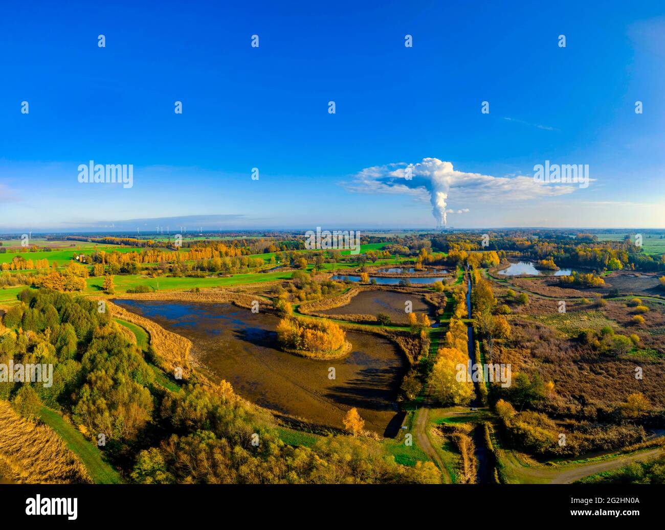 Automne doré sur la Spreeaue Banque D'Images