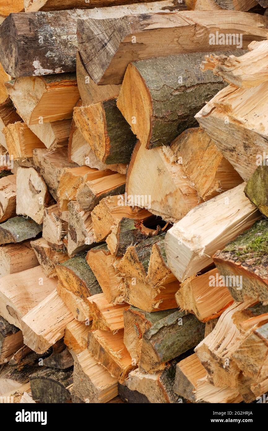 Bûches de bois de chauffage érables Banque de photographies et d’images — free download