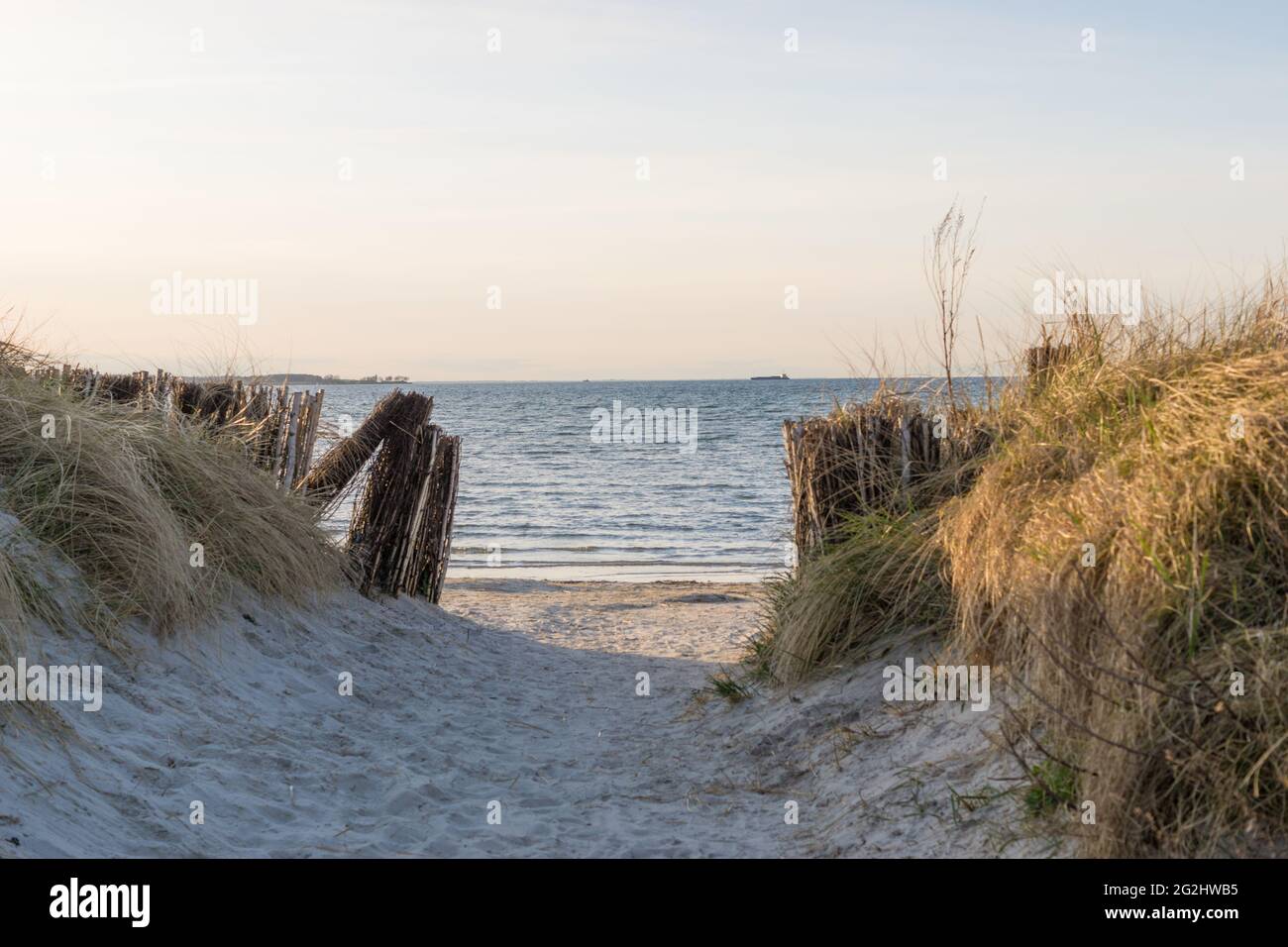 Vue prometteuse de la mer Baltique sur la plage de Stein sur le fjord de Kiel, nord de l'Allemagne, Schleswig-Holstein, mer. Banque D'Images