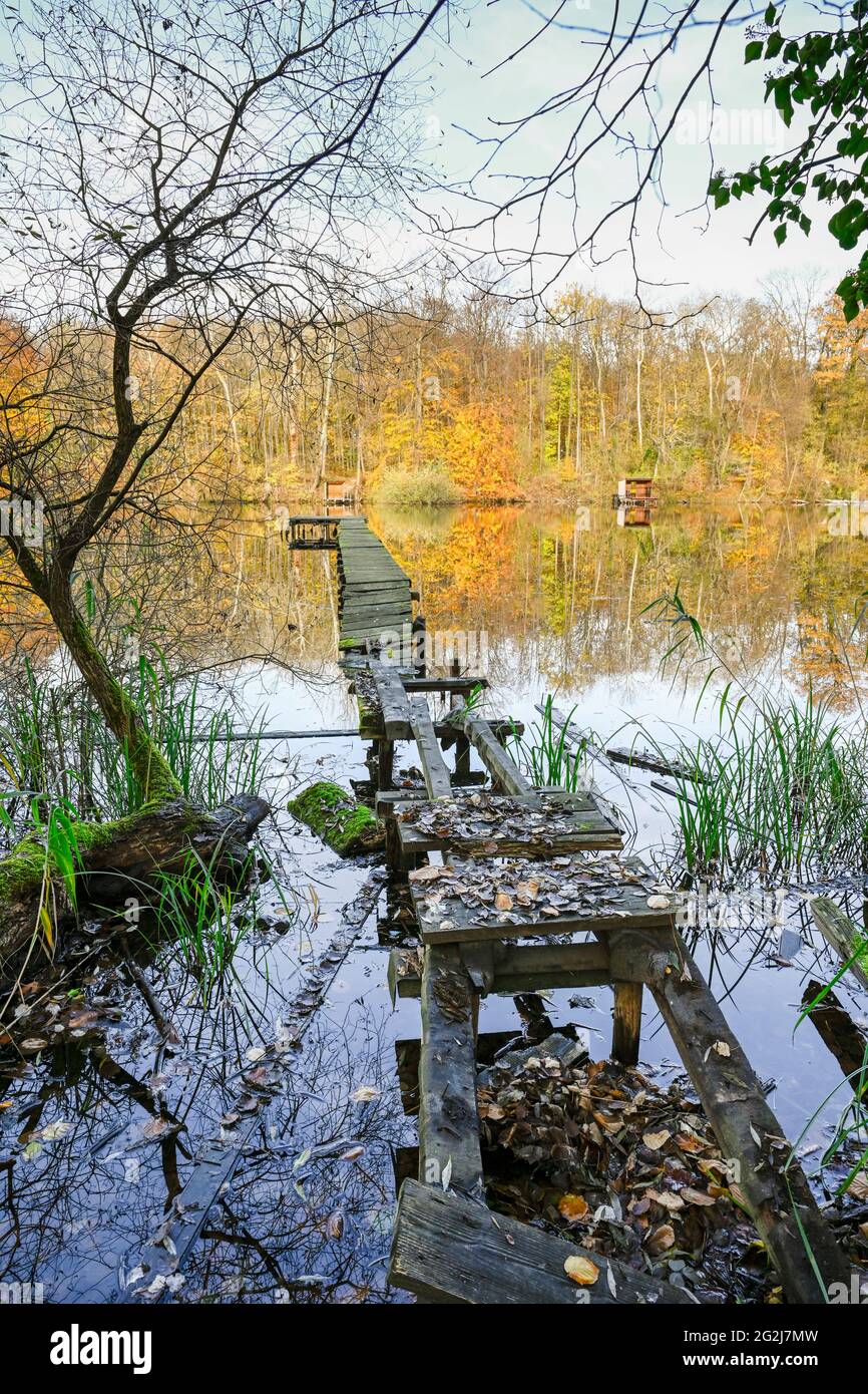Ensemble Miniature Erzgebirge - Chaumière Et Pont En Bois - Allemagne 1900-1910