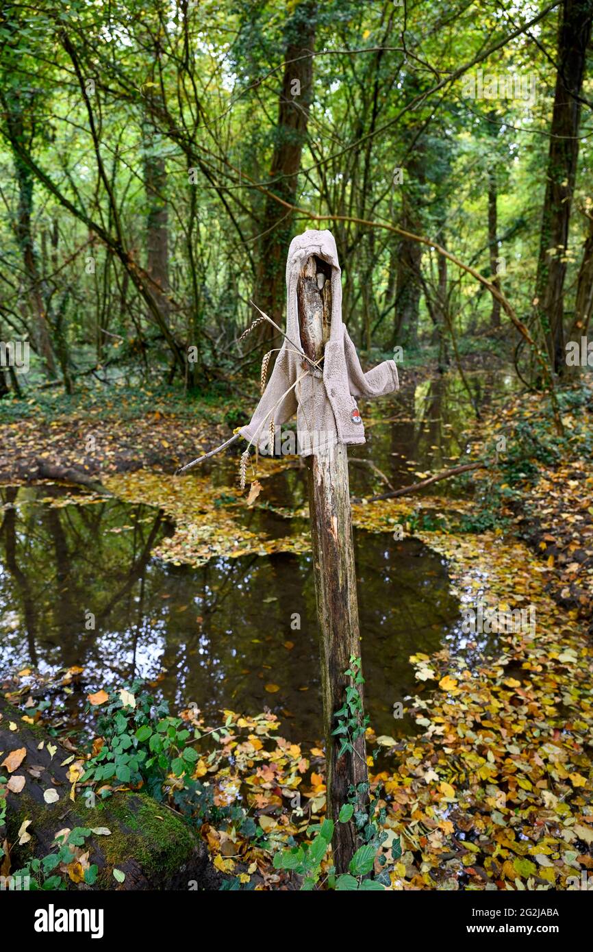 Poteaux en bois coincés comme un personnage. Banque D'Images