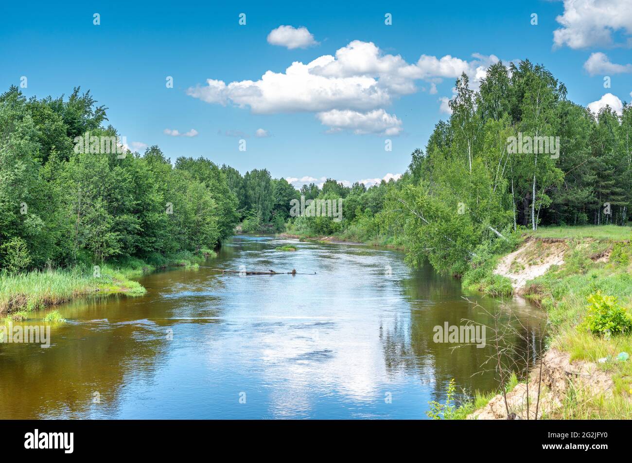 Rivière calme qui coule doucement à travers le paysage boisé. Paysage avec forêt sur la côte de la rivière, étang ou rivière en été. Photographie de paysage de la nature Banque D'Images