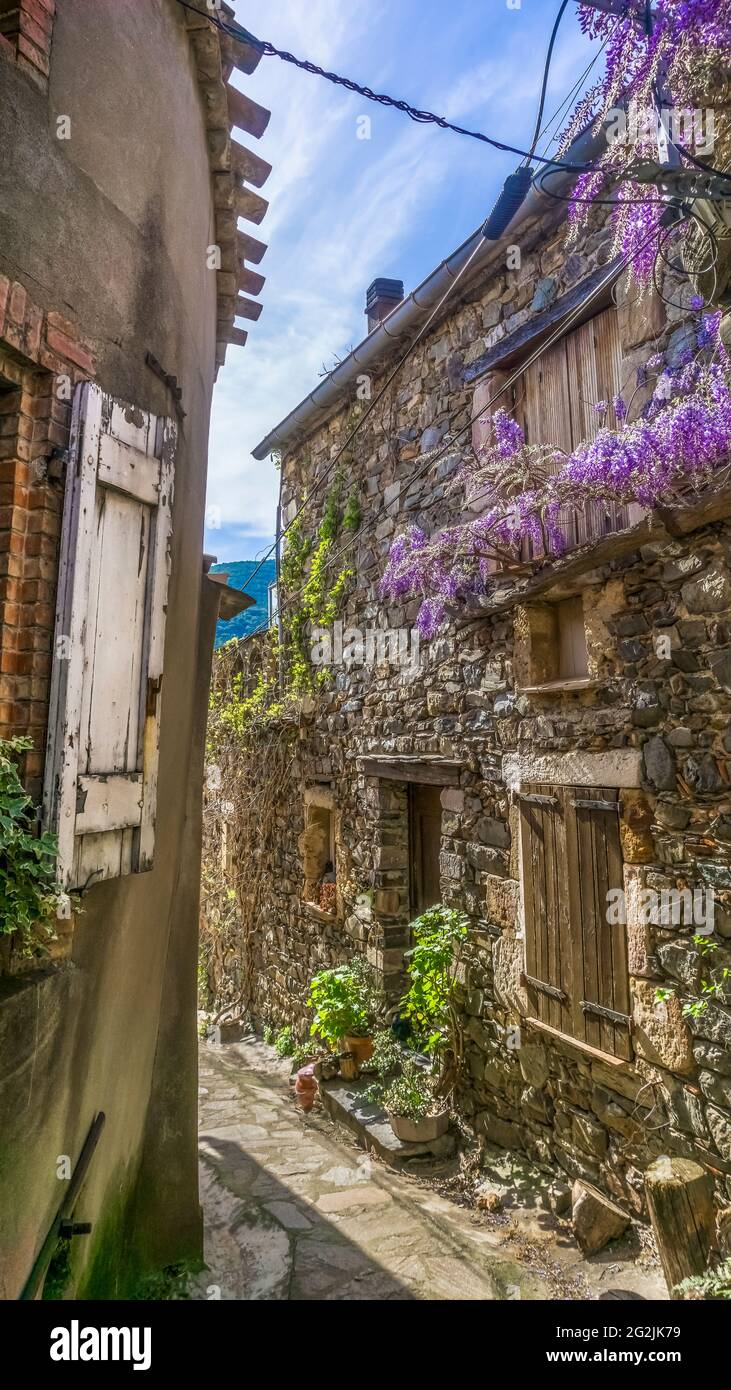 Allée du village au Priou au printemps. Banque D'Images