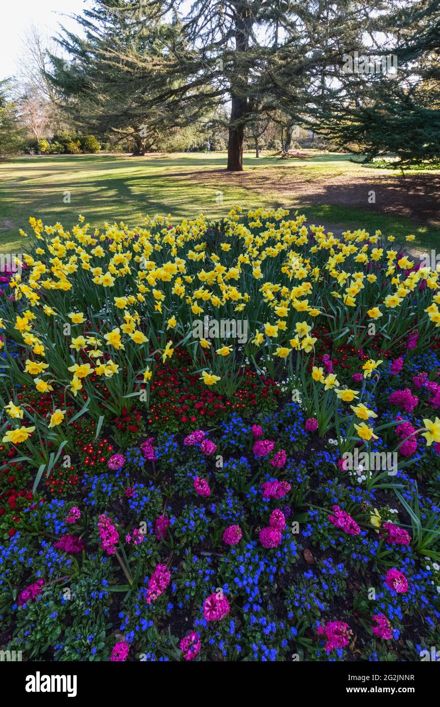 Angleterre, Londres, Greenwich, Greenwich Park, The Flower Garden, Fleurs en fleur et arbres Banque D'Images