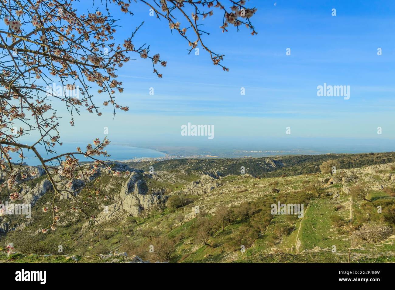 Promontoire Gargano : vue panoramique depuis le Monte Sant'Angelo.Paysage rural de printemps avec fleurs d'amande et prairie. Banque D'Images