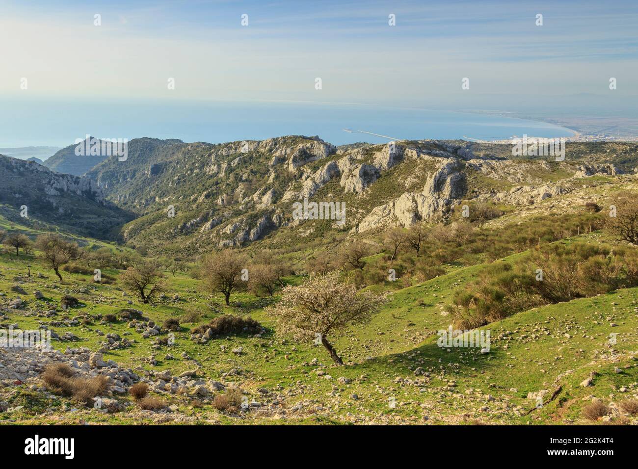 Promontoire Gargano : vue panoramique depuis le Monte Sant'Angelo.Paysage rural de printemps avec fleurs d'amande et prairie. Banque D'Images