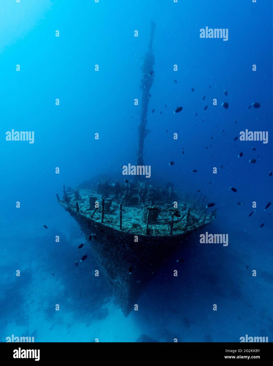 Épave aux Maldives Banque D'Images