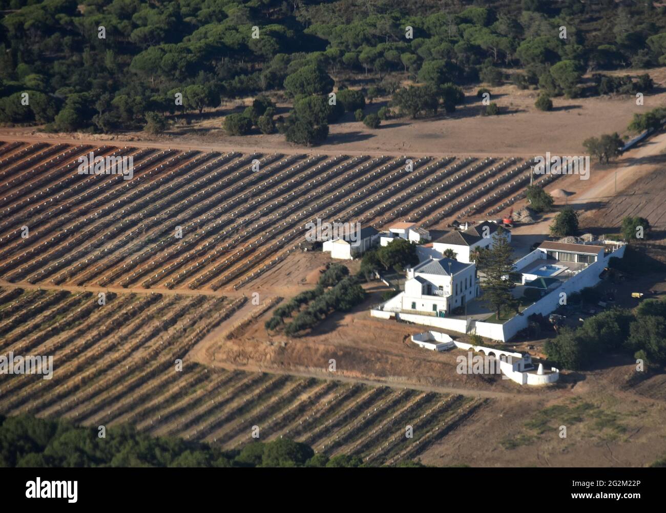 Vue aérienne sur un domaine viticole blanc près de Faro, Algarve, Portugal Banque D'Images