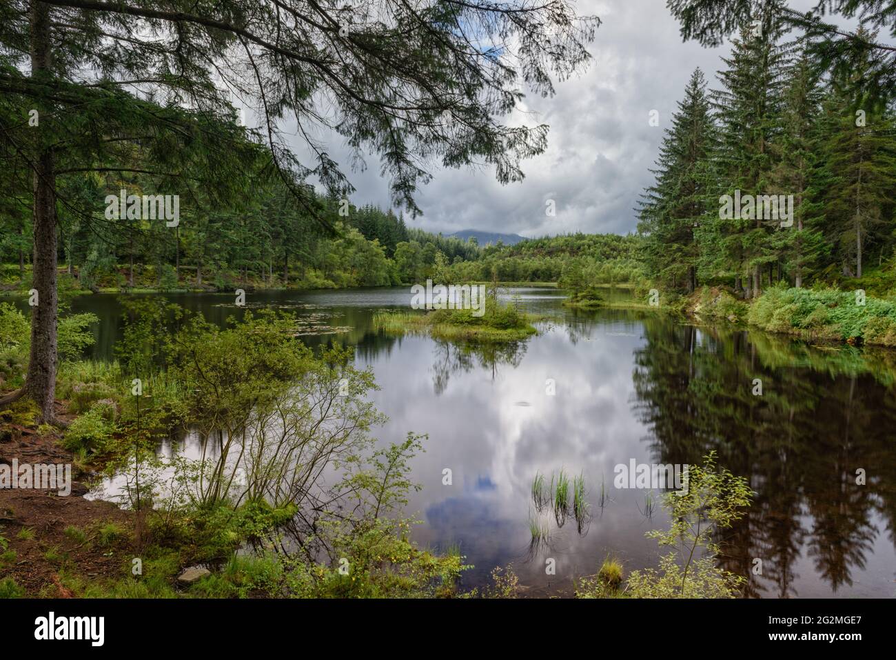 Un Lochan a' Ghleannain paisible et paisible au coeur de la forêt du Loch ARD, près d'AberDoyle, dans le centre de l'Écosse, au Royaume-Uni. Banque D'Images